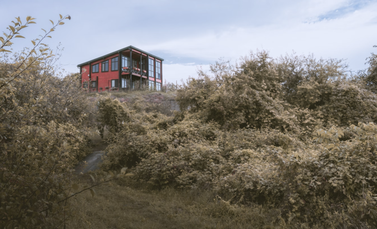 8 Ways to Make Your Home More Sustainable