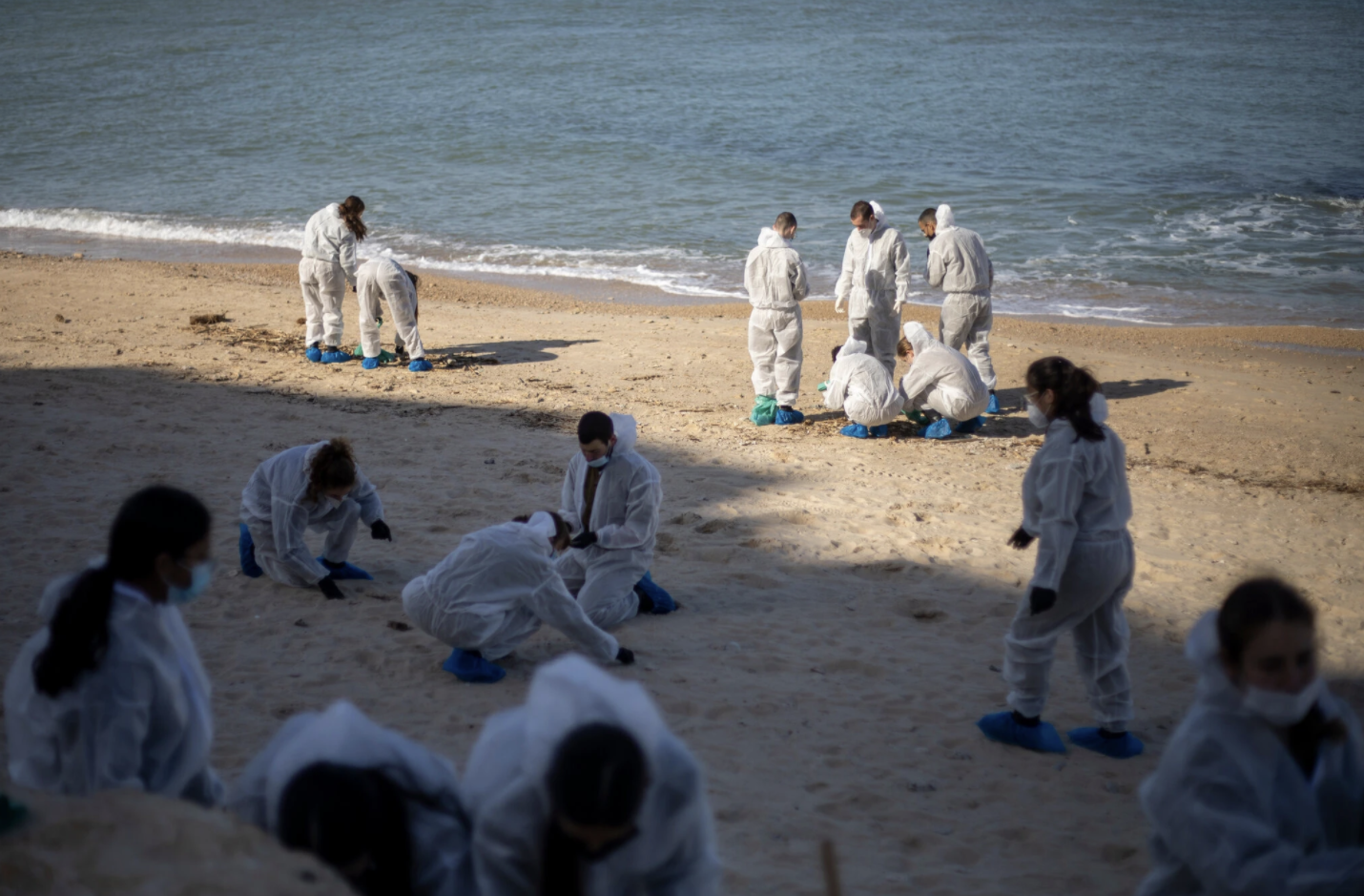 Beach cleanup crew