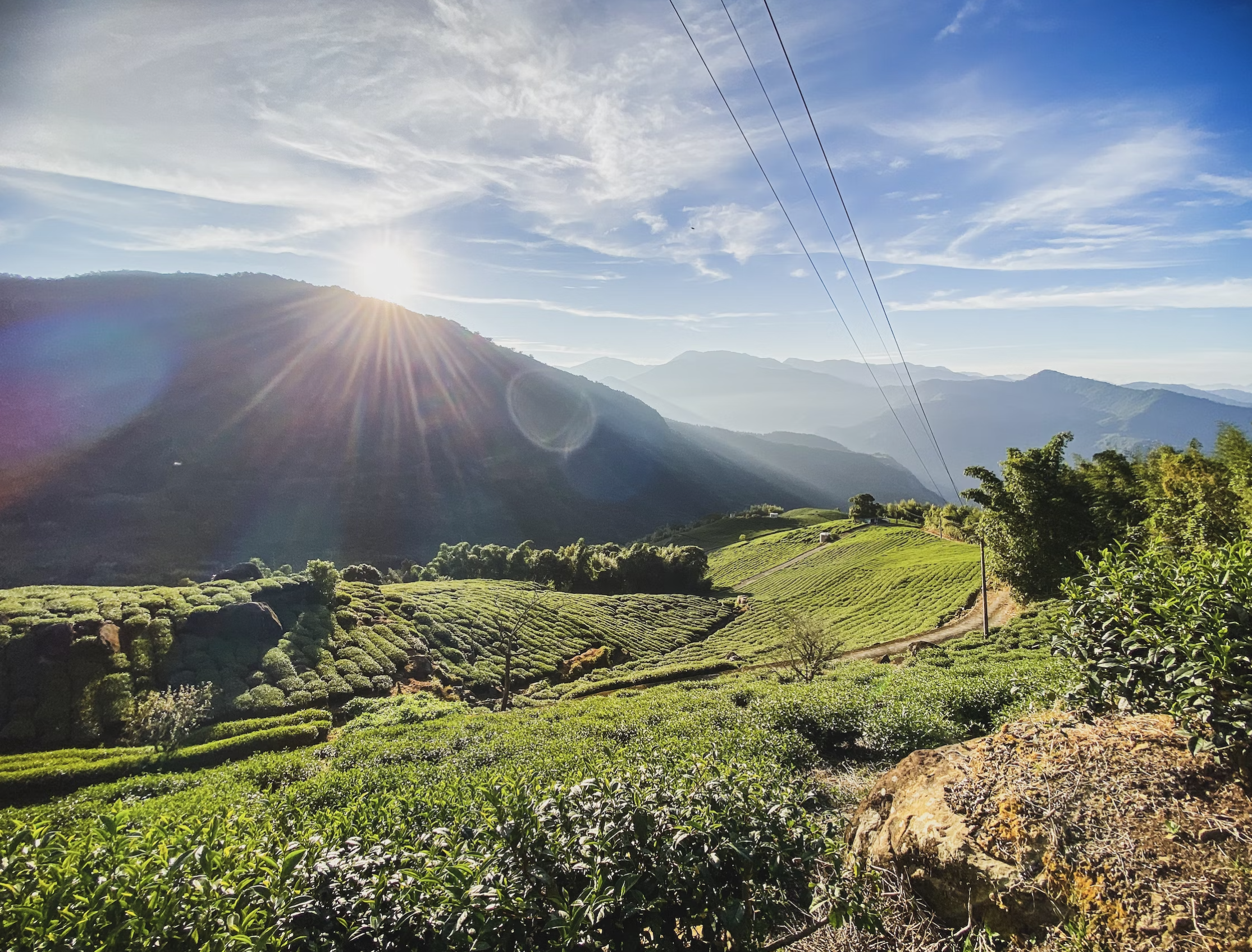 sonoma county wine tours