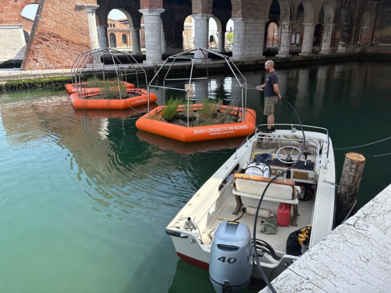 Sustainability and Crickets Sing in Venice at Venice Biennale