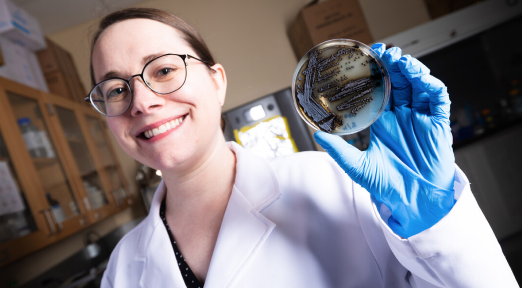 Space travel sunscreen found in new fungus experiment