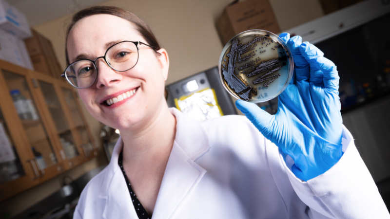 Space travel sunscreen found in new fungus experiment