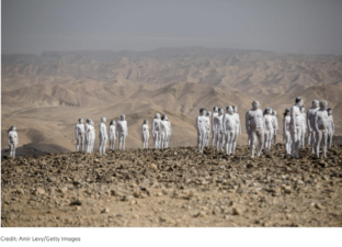 Spencer Tunick nudes pose to save the Dead Sea