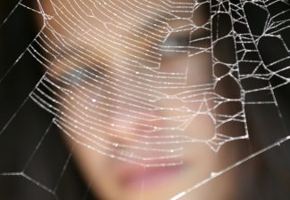 Spider study shows there is nothing to fear but fear itself