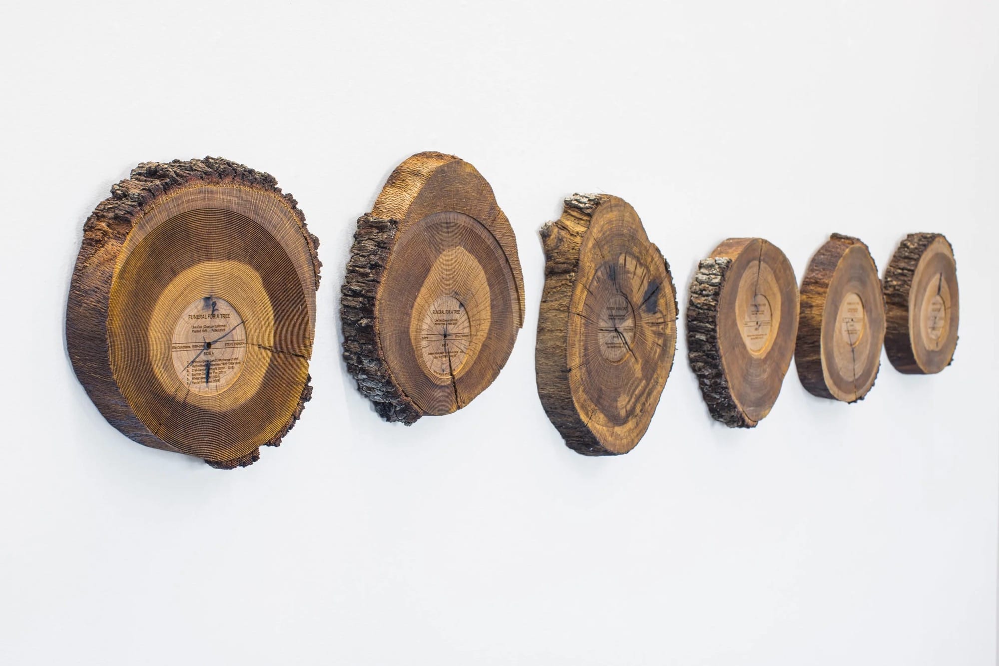 Funeral for a tree; Promotional material - Steve Parker. 