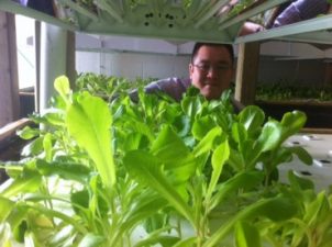 Swimming UpStream with Steven Looi’s water farm