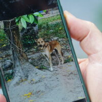 Clyde before he was rescued by Lungs Hai