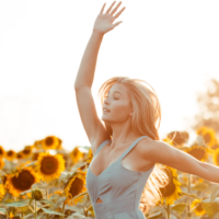 sunflowers dance like we do