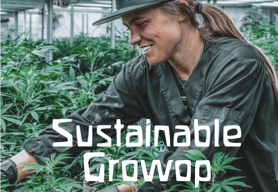sustainable cannabis, woman grower, medical marijuana