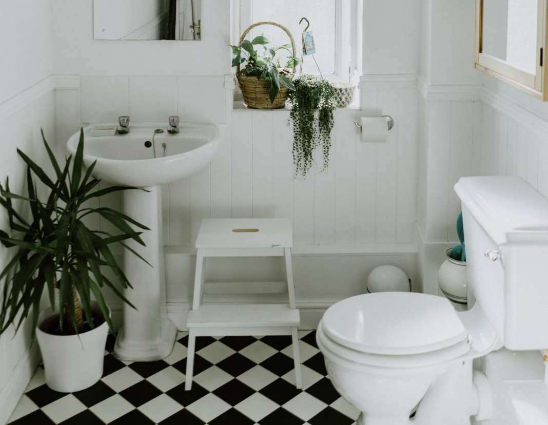 hipster green bathroom painted white