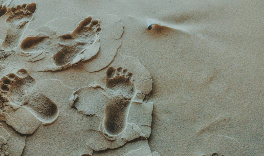 Sustainable Travel Planning: How RoutePerfect Supports Eco-Conscious Journeys