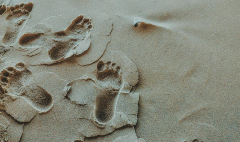 Sustainable Travel Planning: How RoutePerfect Supports Eco-Conscious Journeys