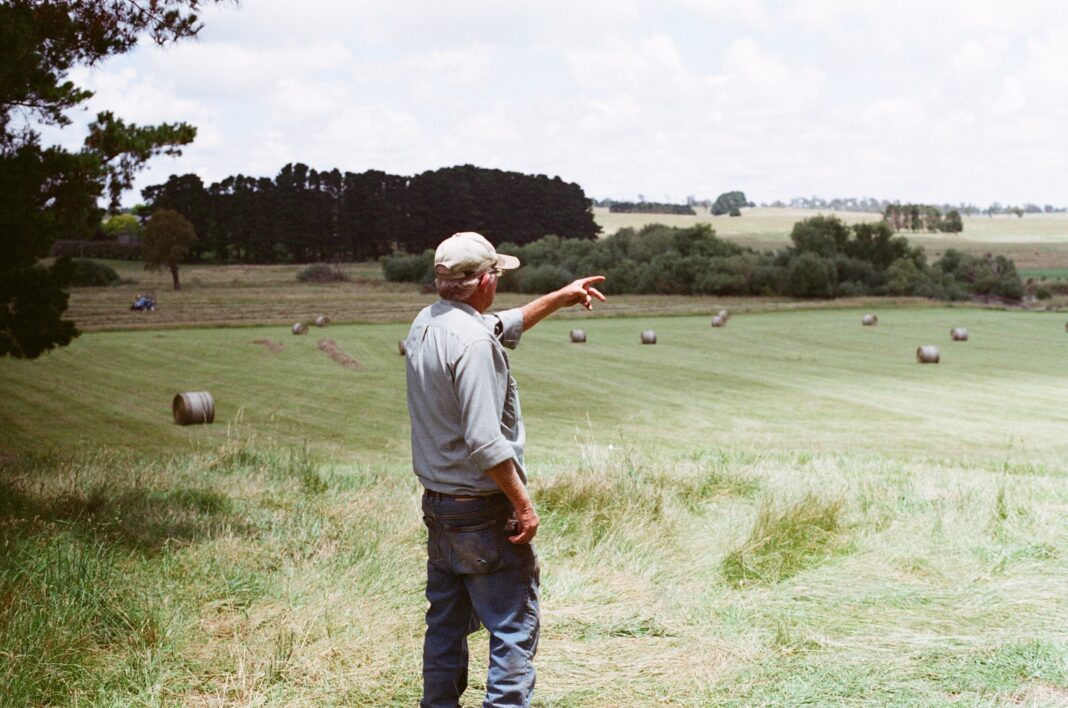 farmer looking over his field