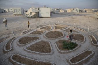 Secret gardens planted by Syrian refugees in Jordan