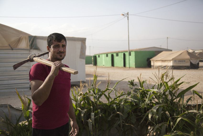 A garden in a Syrian refugee camp