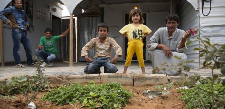 syria-refugee-secret-garden-7.jpg