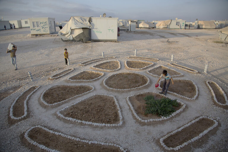 Secret gardens planted by Syrian refugees in Jordan