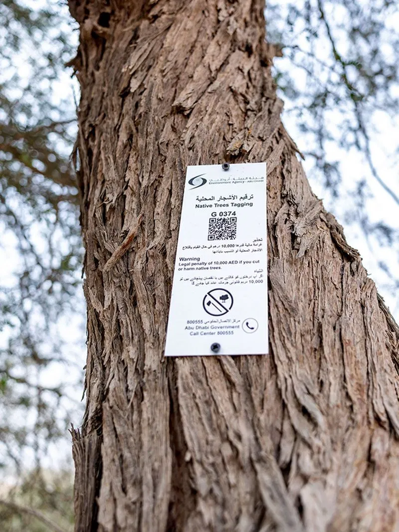 Tagging trees to protect them