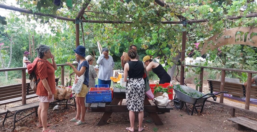 Tel Aviv green city award