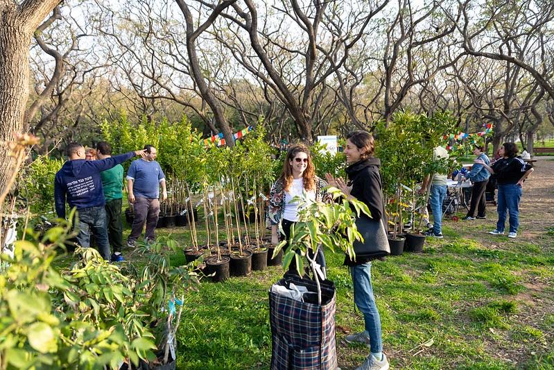 urban edible forest, city food forest, urban permaculture garden, edible landscape design, sustainable urban farming, community food forest, urban agriculture, edible plants in city, urban food ecosystem, green city living, urban gardening for food, permaculture in cities, edible greenery, city-grown food, urban food sustainability, urban food forest design, edible cityscape, food security in cities, urban agroforestry, urban self-sufficiency