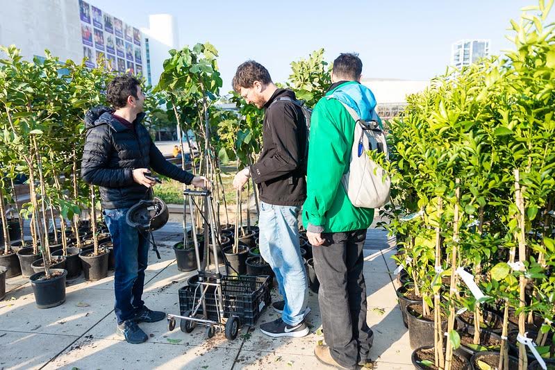 urban edible forest, city food forest, urban permaculture garden, edible landscape design, sustainable urban farming, community food forest, urban agriculture, edible plants in city, urban food ecosystem, green city living, urban gardening for food, permaculture in cities, edible greenery, city-grown food, urban food sustainability, urban food forest design, edible cityscape, food security in cities, urban agroforestry, urban self-sufficiency