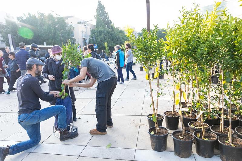 urban edible forest, city food forest, urban permaculture garden, edible landscape design, sustainable urban farming, community food forest, urban agriculture, edible plants in city, urban food ecosystem, green city living, urban gardening for food, permaculture in cities, edible greenery, city-grown food, urban food sustainability, urban food forest design, edible cityscape, food security in cities, urban agroforestry, urban self-sufficiency