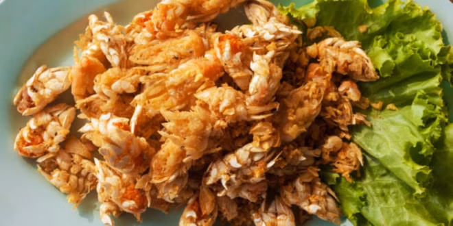 Locust schnitzel is a unique, protein-rich dish combining the crunchy texture of cooked grasshoppers with a classic breaded schnitzel preparation. Popularized in culinary history by chefs like Jerusalem’s Moshe Basson, locusts have a flavor often described as a mix of chicken, prawns, and toasted nuts. 