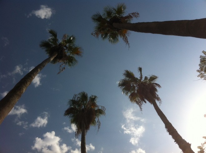 Tentsile is a hanging treehouse like tent 