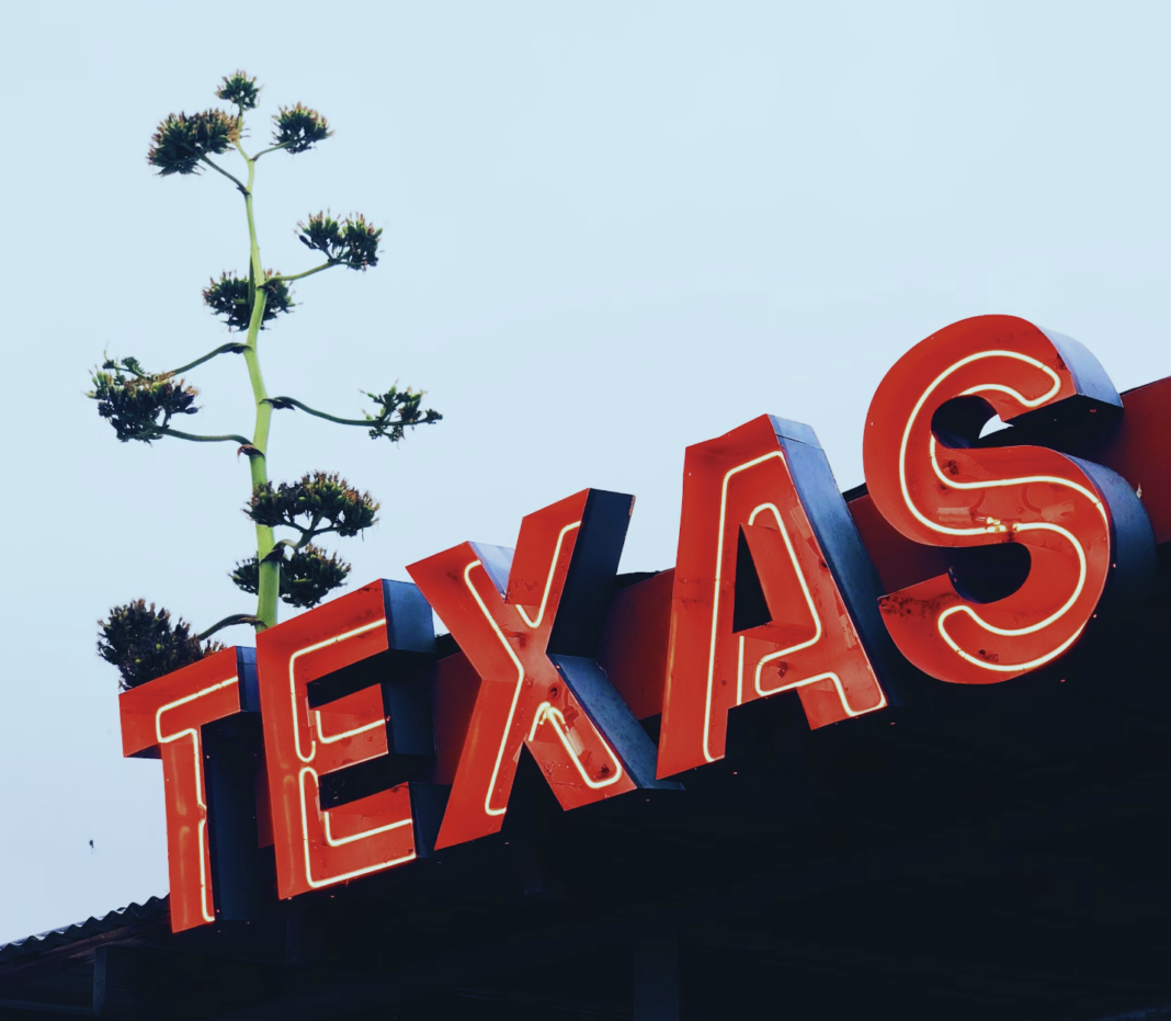 Texas sign with a cactus in bloom