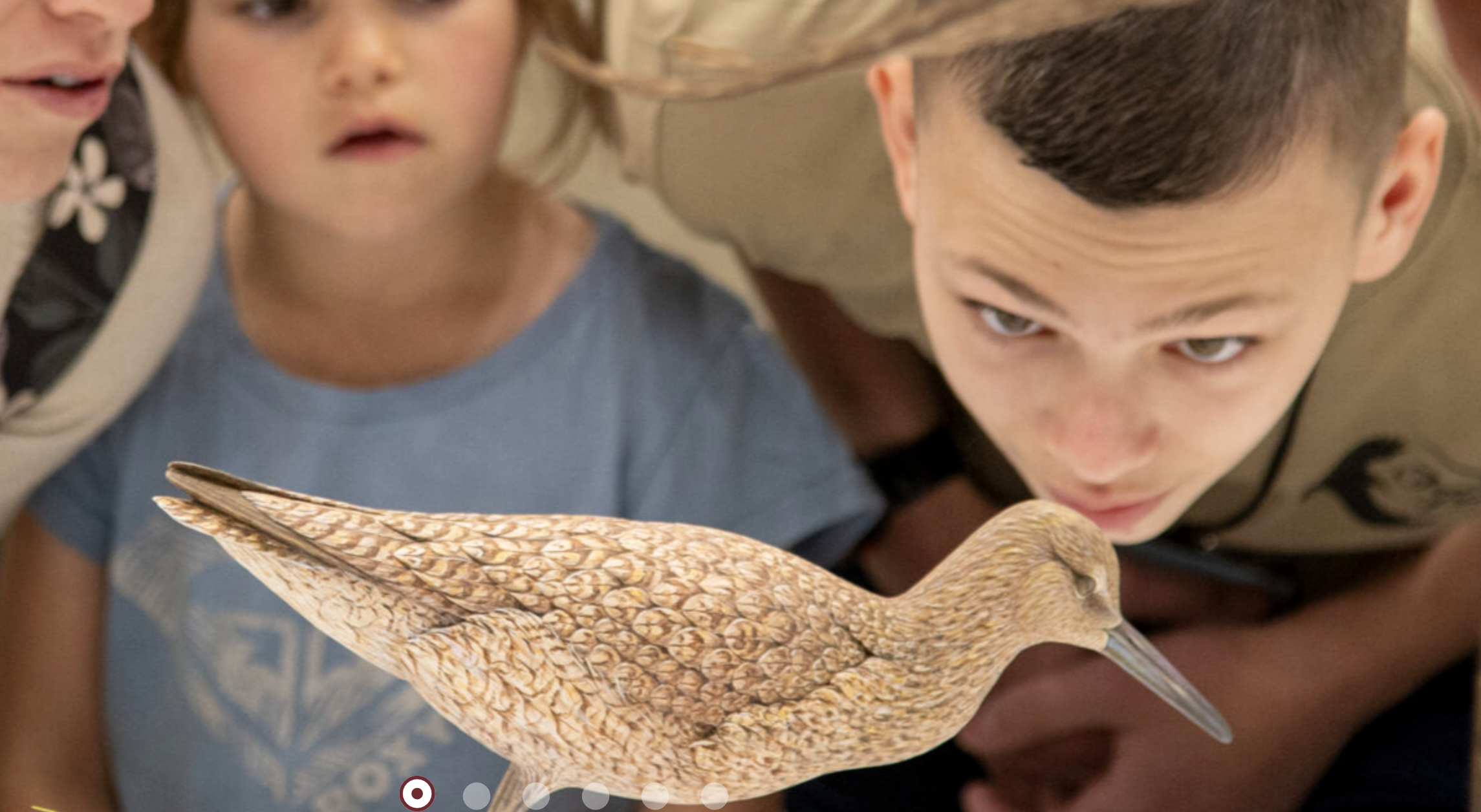 A decoy from the museum