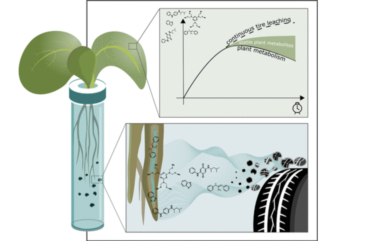 tire bits in plants