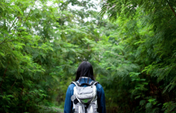 How to Travel Sustainably in Sensitive Ecosystems