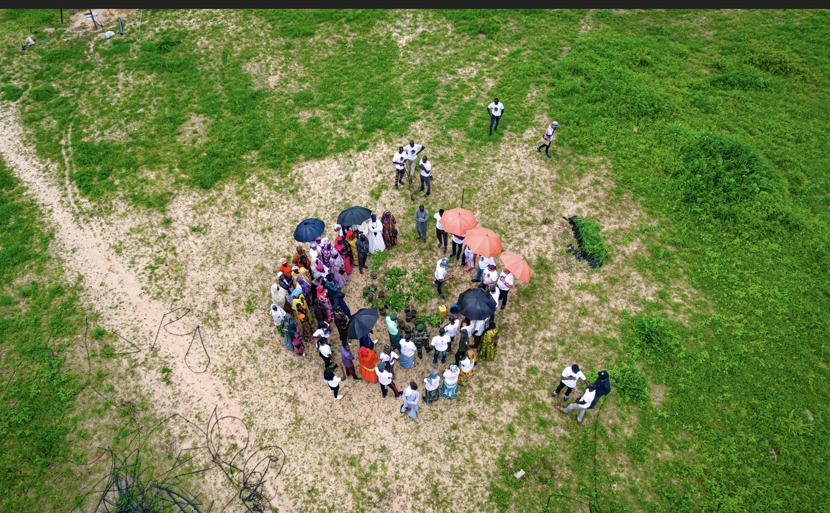 Great Green Wall, tree planting Africa, Sahel, drone shot from above