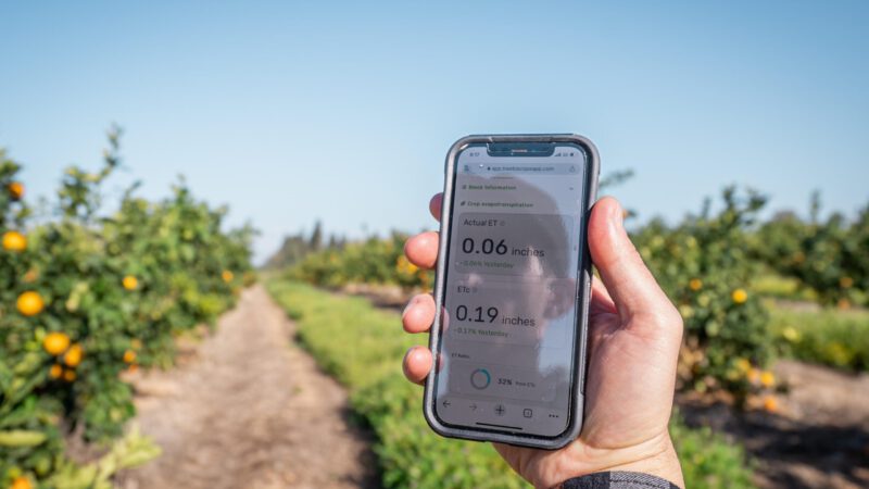 AI Tool Reduces Greenhouse Gas Emissions Associated with Livestock Farming and Land Use