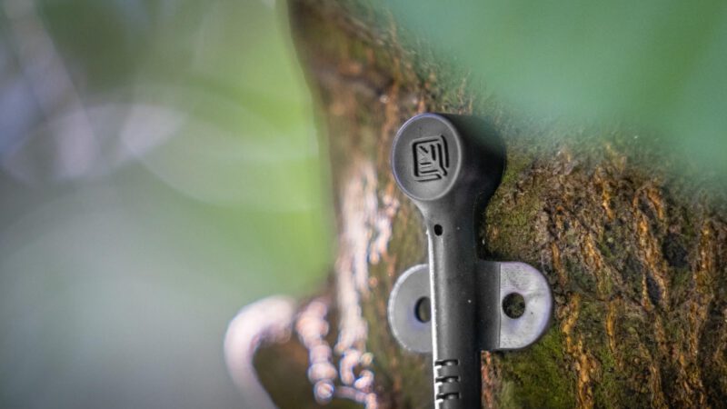 Revolutionizing agriculture: Treetoscope raises $7M in seed funding for smart drip irrigation