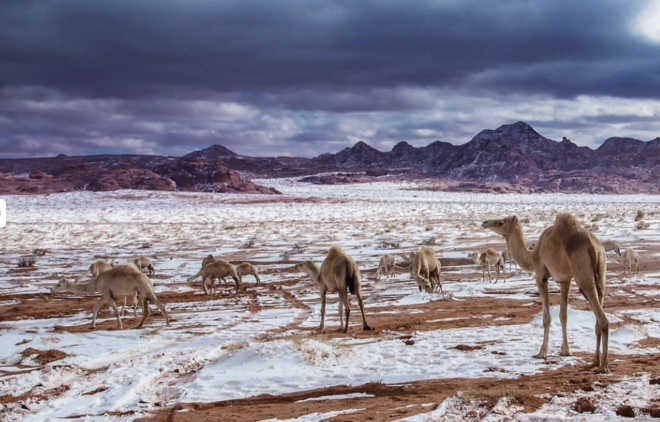 Trojena location, Saudi Arabia, Mount Lawz, Vision 2030, red Sea, Neom