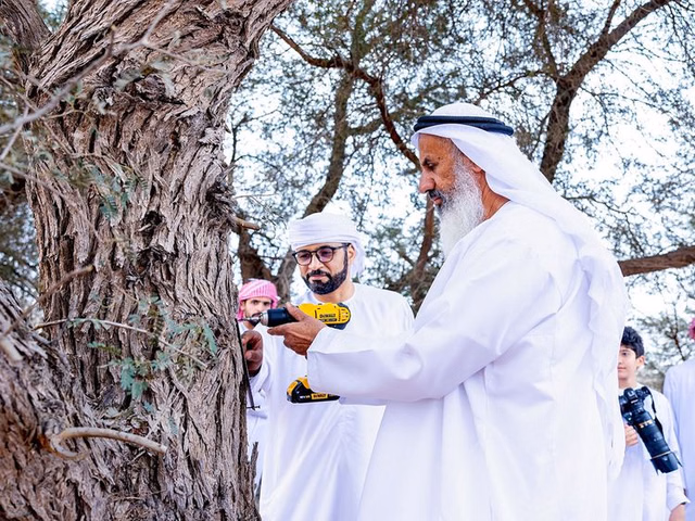 Abu Dhabi's trees are being tagged