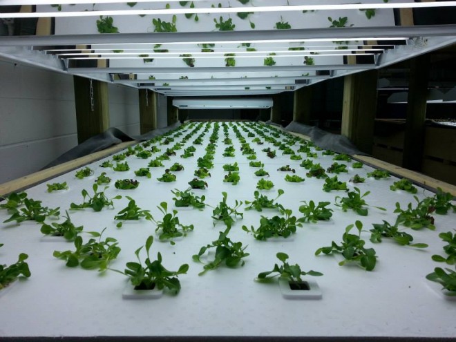 upstream-ap-newmarket