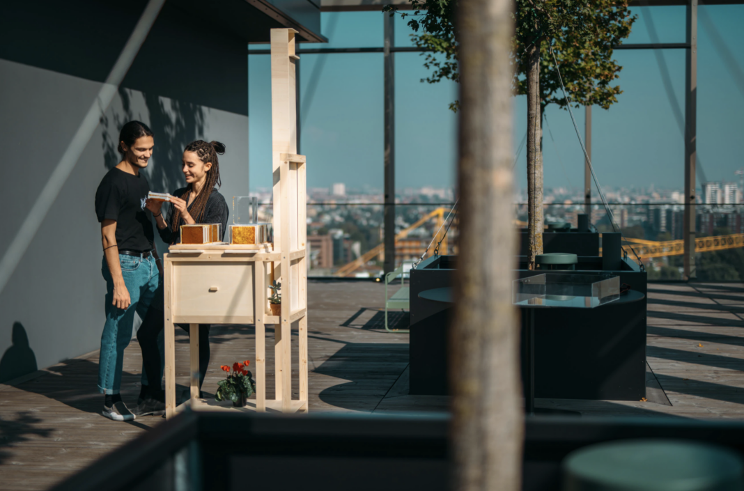 urban beehive young couple city roof new york