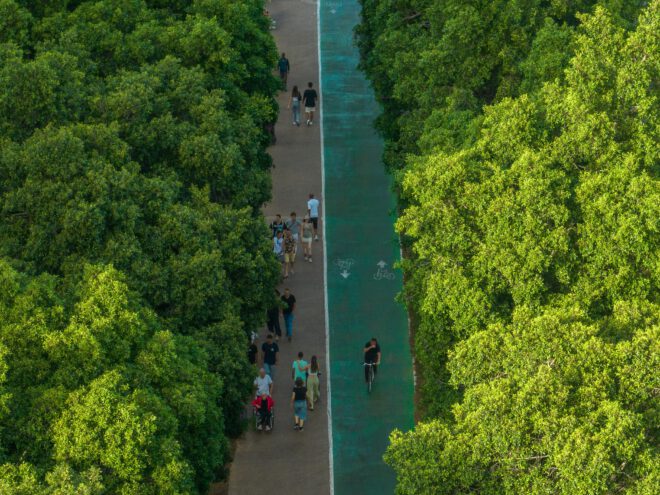 AI scientist gets full map of urban trees using Google Street View ...