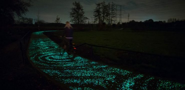 van-gogh-starry-night-glowing-bike-path-daan-roosengaarde-6.jpg