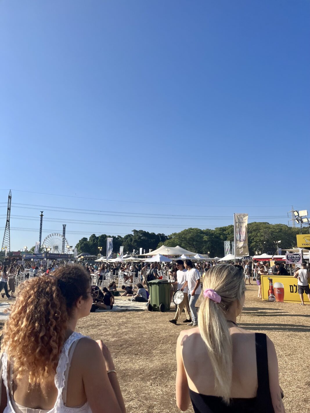picture of the vegan festival