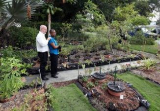 Growing your own food in America is now a criminal act?