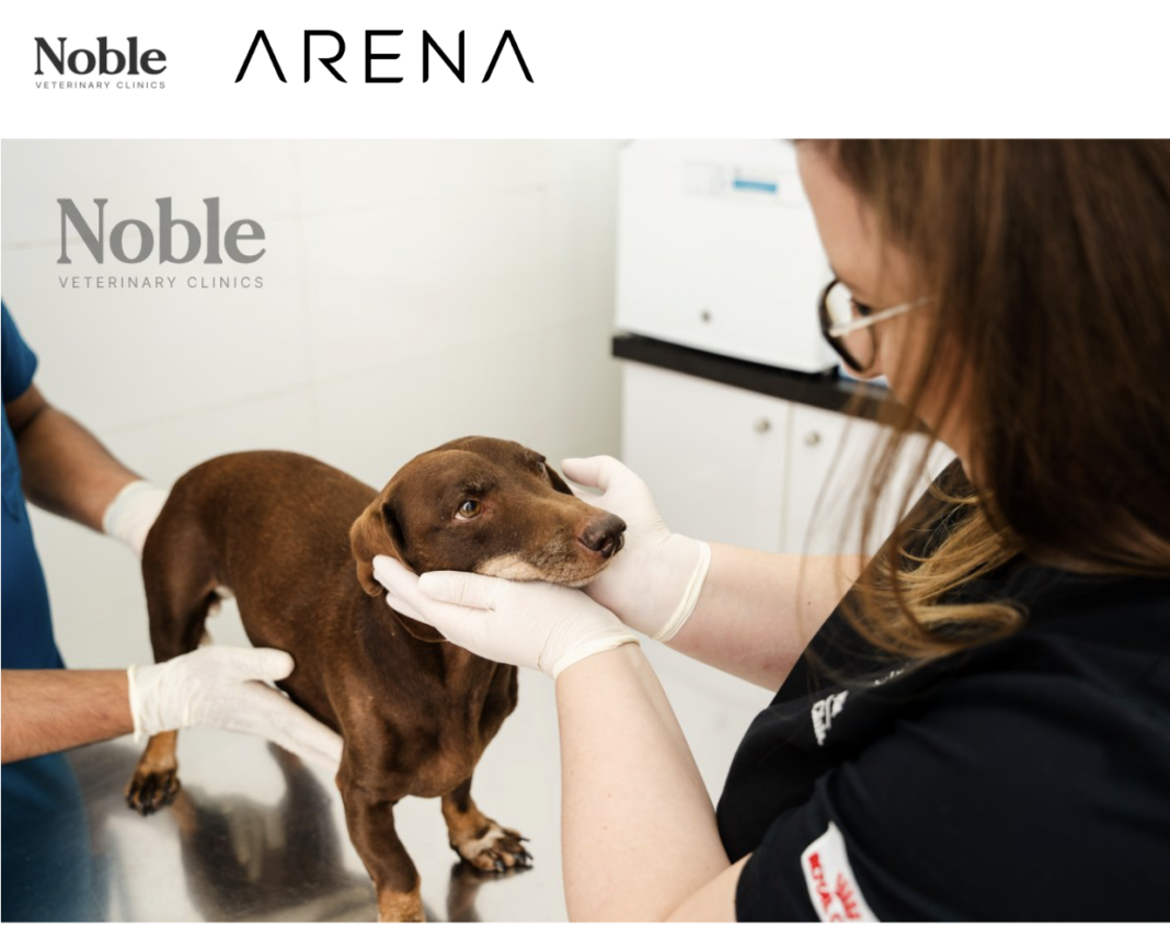 Distemper in Dogs: Symptoms, Treatment, and Prevention