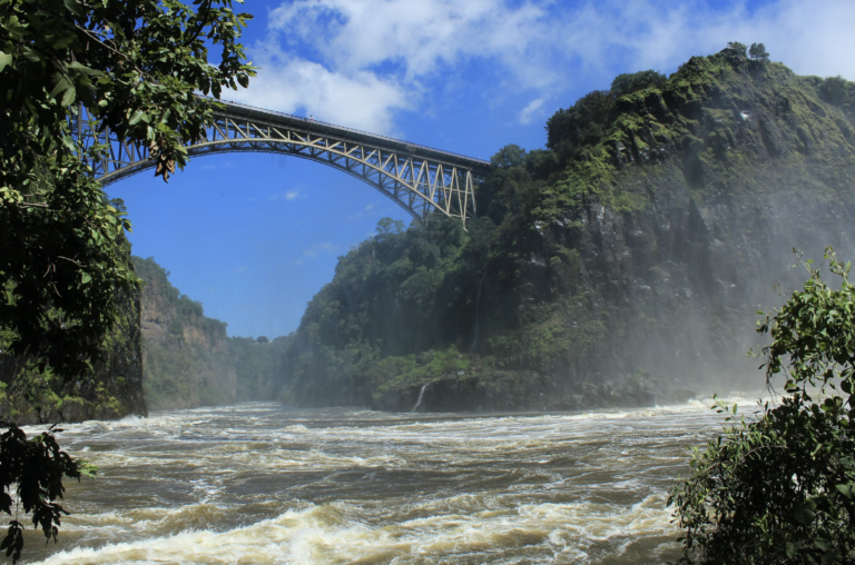 Dubai buys 20% of Zimbabwe for carbon offset projects