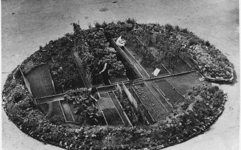 bomb crater, victory garden in London