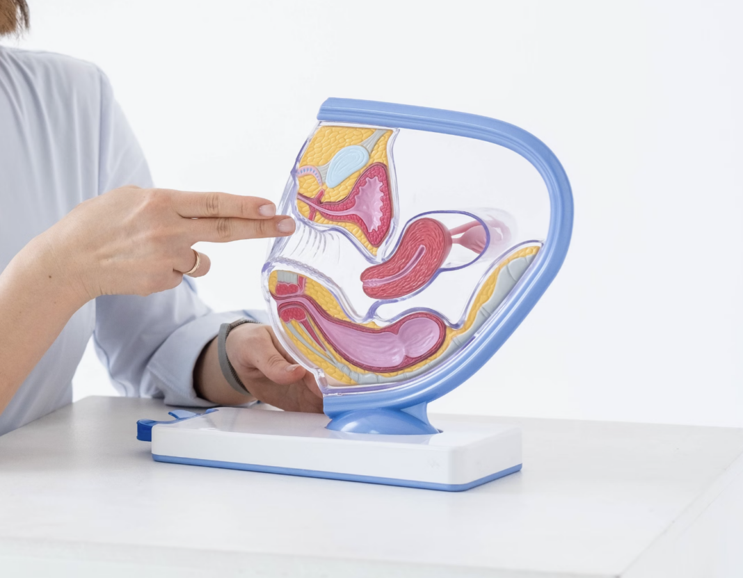 Virginity tests carry prison sentence in Malta