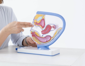 Virginity tests carry prison sentence in Malta