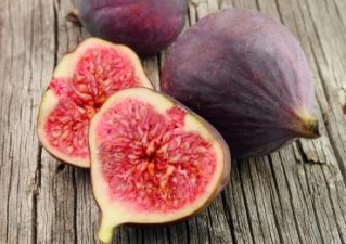 This fact about figs is sure to bug you!