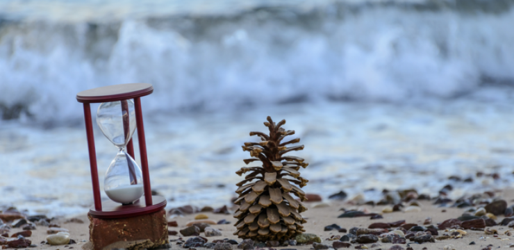 water-lebanon-time-pine-cone-660x3801.png